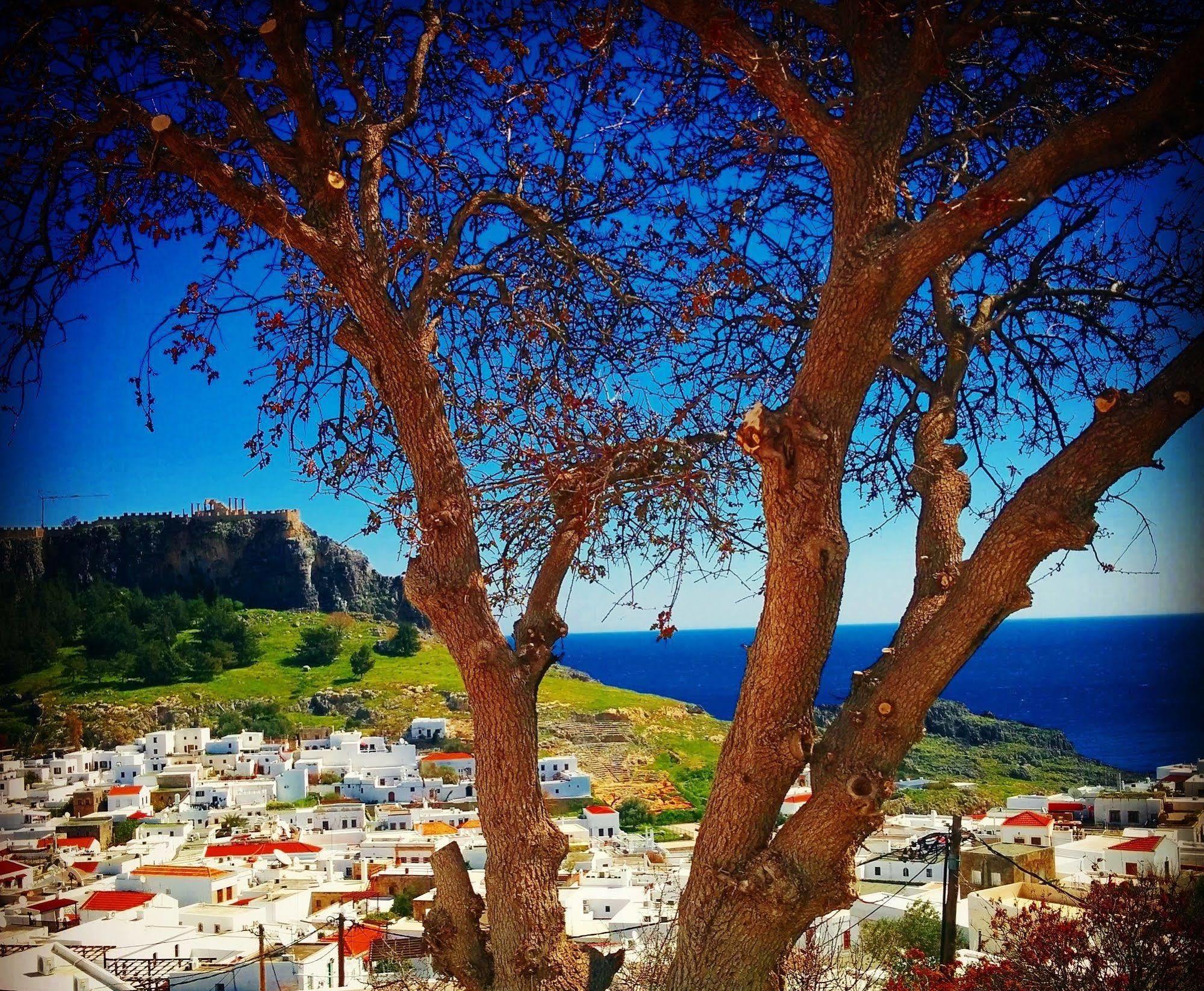 Little Lindos Sea View Studios Exteriér fotografie