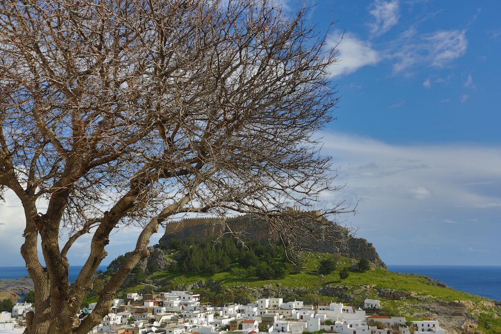 Little Lindos Sea View Studios Exteriér fotografie