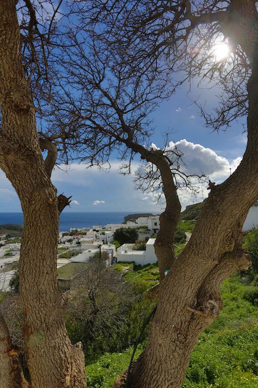 Little Lindos Sea View Studios Exteriér fotografie